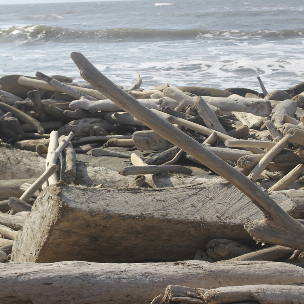 playas atlántico contaminadas